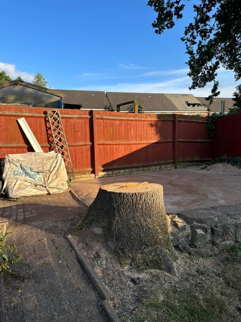 Safe stump removal by certified tree surgeons in County Mayo