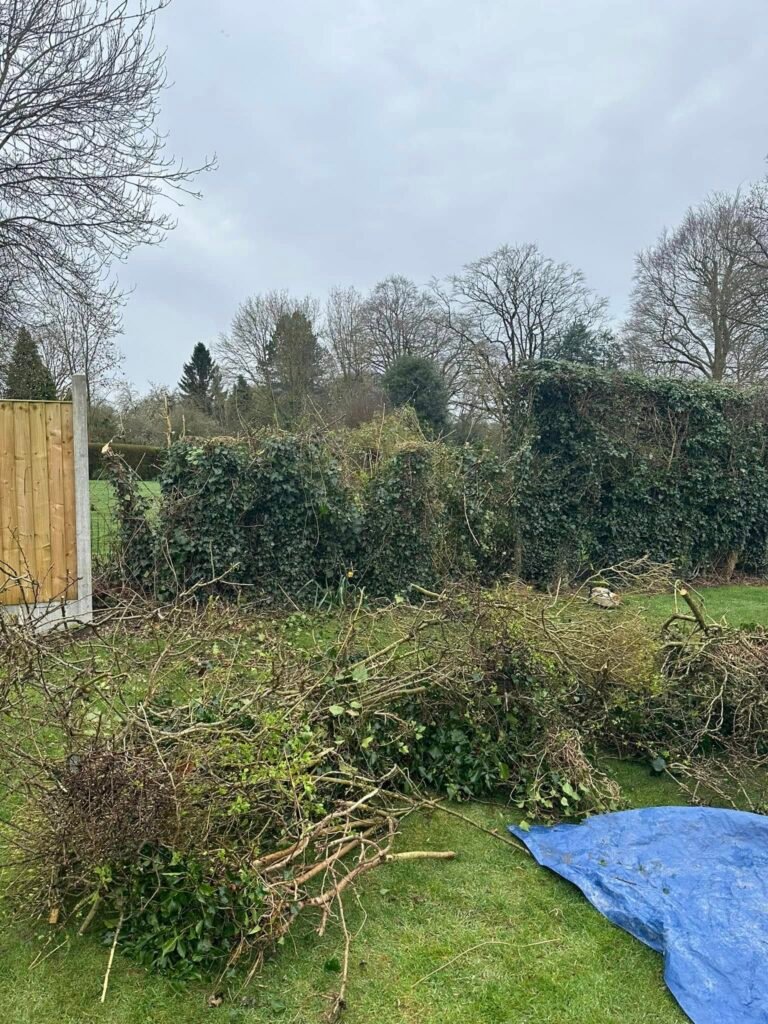 Garden Clearance Garden Clearance