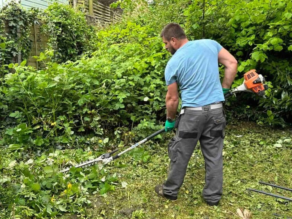 garden clearance services north london Safe and efficient garden clearance by experts in Mayo